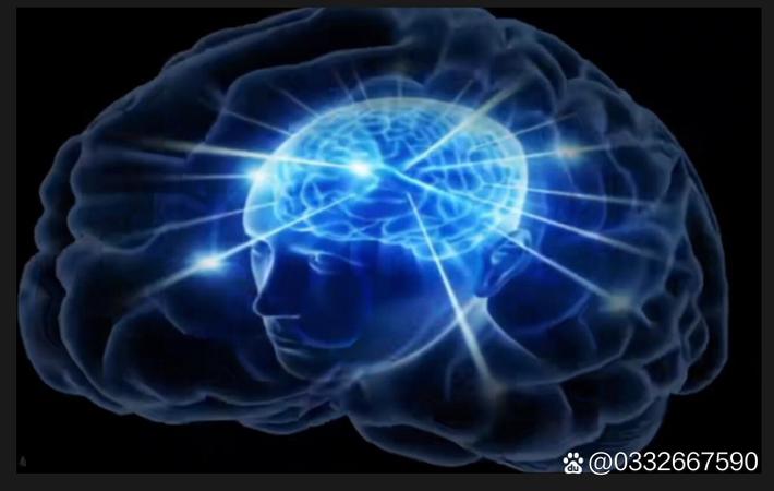 某知名运动品牌明星代言人比赛穿竞品鞋，品牌方单方面解约